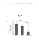 Recombinant Adenovirus Having Anti-Angiogenesis Activity diagram and image