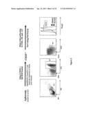 Methods to Expand a T Regulatory Cell Master Cell Bank diagram and image