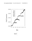 Methods to Expand a T Regulatory Cell Master Cell Bank diagram and image