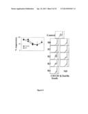 Methods to Expand a T Regulatory Cell Master Cell Bank diagram and image