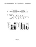 Methods to Expand a T Regulatory Cell Master Cell Bank diagram and image