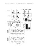 Methods to Expand a T Regulatory Cell Master Cell Bank diagram and image