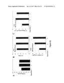 Methods to Expand a T Regulatory Cell Master Cell Bank diagram and image