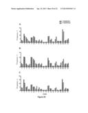 Methods to Expand a T Regulatory Cell Master Cell Bank diagram and image