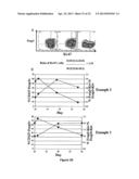 Methods to Expand a T Regulatory Cell Master Cell Bank diagram and image