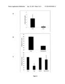 IL-13 PRODUCING TR1-LIKE CELLS AND USE THEREOF diagram and image