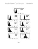 IL-13 PRODUCING TR1-LIKE CELLS AND USE THEREOF diagram and image