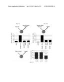 Tiki1 and Tiki2, Wnt Inhibitors diagram and image