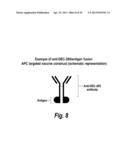 ANTIBODIES THAT BIND HUMAN DENDRITIC AND EPITHELIAL CELL 205 (DEC-205) diagram and image