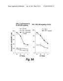 ANTIBODIES THAT BIND HUMAN DENDRITIC AND EPITHELIAL CELL 205 (DEC-205) diagram and image