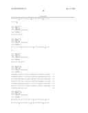 ANTIBODIES THAT BIND HUMAN DENDRITIC AND EPITHELIAL CELL 205 (DEC-205) diagram and image