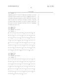 ANTIBODIES THAT BIND HUMAN DENDRITIC AND EPITHELIAL CELL 205 (DEC-205) diagram and image