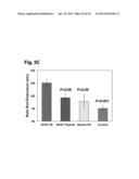 NOVEL VEGF MIMETIC PEPTIDE-BASED SCAFFOLDS FOR THERAPEUTIC ANGIOGENESIS     AND METHODS FOR THEIR USE diagram and image