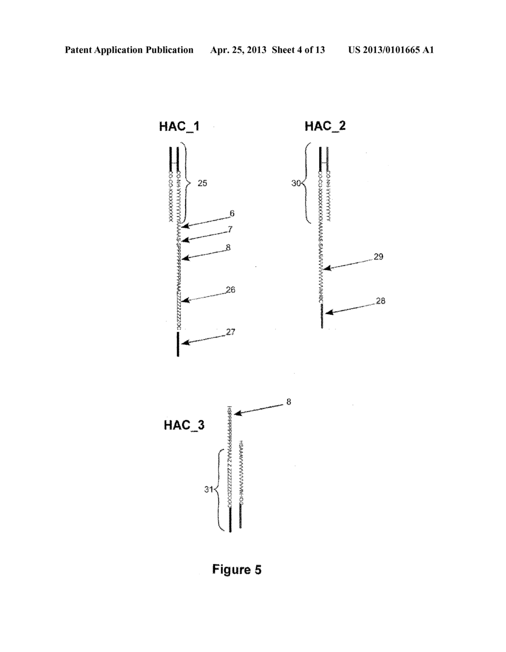 SELF-ASSEMBLING HALF-ANTIBODIES - diagram, schematic, and image 05