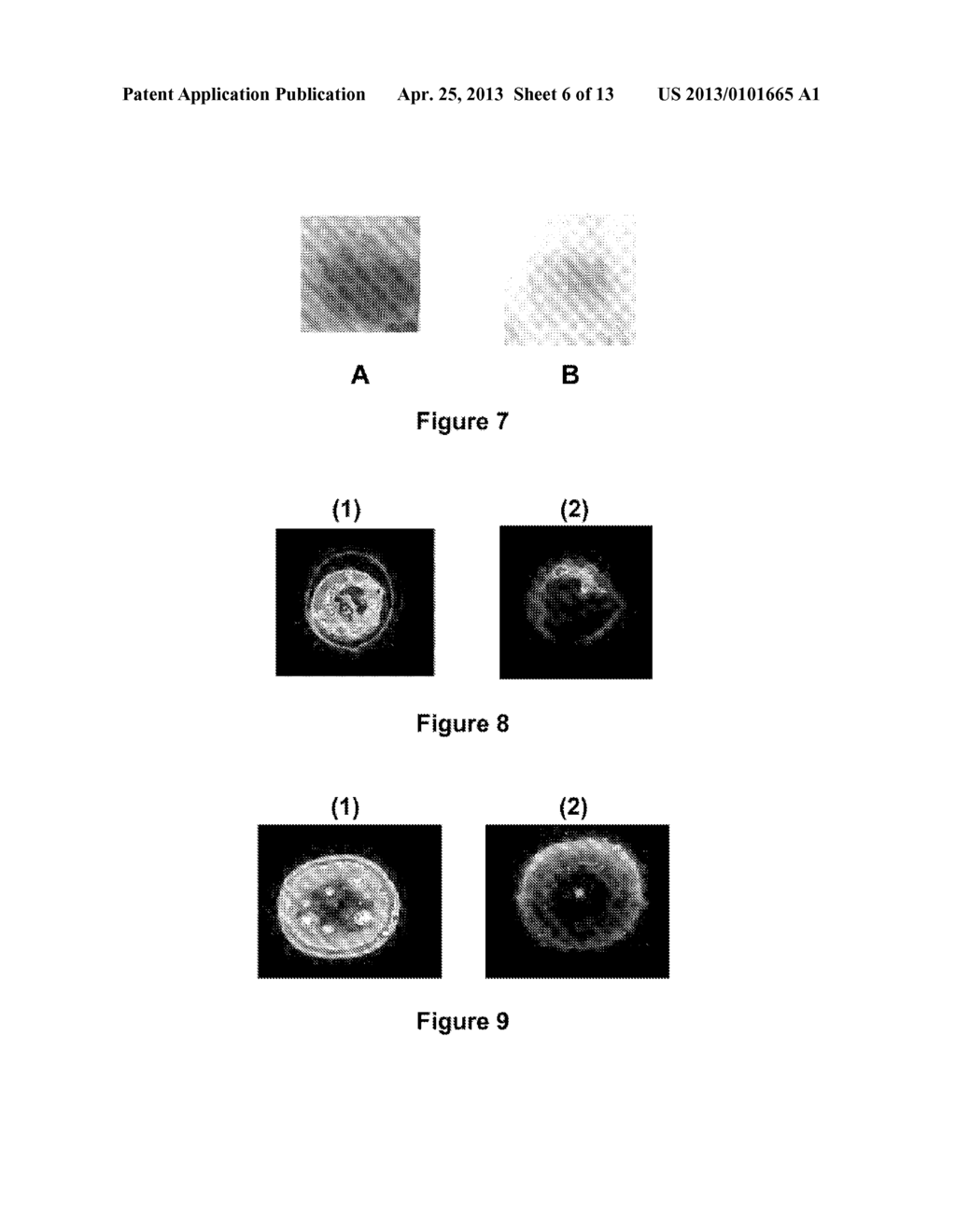 SELF-ASSEMBLING HALF-ANTIBODIES - diagram, schematic, and image 07