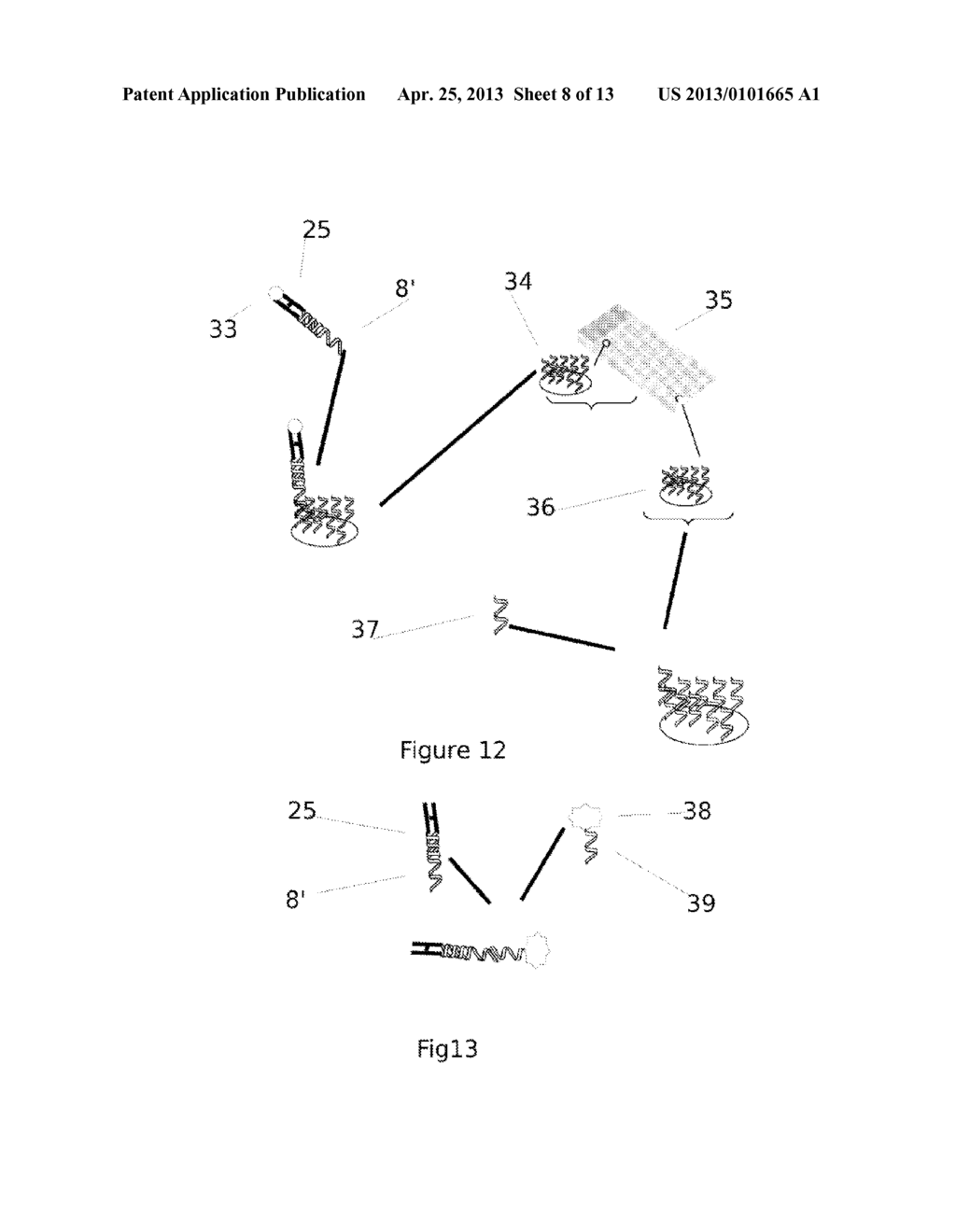 SELF-ASSEMBLING HALF-ANTIBODIES - diagram, schematic, and image 09