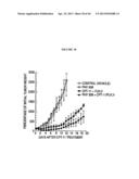 HERBAL COMPOSITION PHY906 AND ITS USE IN CHEMOTHERAPY diagram and image