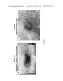 CO-CURABLE, CONDUCTIVE SURFACING FILMS FOR LIGHTNING STRIKE AND     ELECTROMAGNETIC INTERFERENCE SHIELDING OF THERMOSET COMPOSITE MATERIALS diagram and image