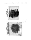 CO-CURABLE, CONDUCTIVE SURFACING FILMS FOR LIGHTNING STRIKE AND     ELECTROMAGNETIC INTERFERENCE SHIELDING OF THERMOSET COMPOSITE MATERIALS diagram and image