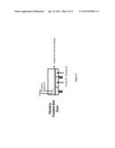 COATED POLYMERIC PARTICULATES, AND A PROCESS FOR COATING POLYMERIC     PARTICULATES diagram and image