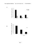 In Vitro Method for obtaining Intrahepatic Fibroblasts Infected with     Hepatitis C Virus diagram and image