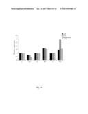 In Vitro Method for obtaining Intrahepatic Fibroblasts Infected with     Hepatitis C Virus diagram and image