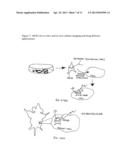 MULTI-LEG LUMINESCENT NANOPARTICLES, MULTI-LEG LUMINESCENT NANOPARTICLE     COMPOUNDS AND VARIOUS APPLICATIONS diagram and image