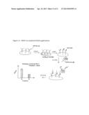 MULTI-LEG LUMINESCENT NANOPARTICLES, MULTI-LEG LUMINESCENT NANOPARTICLE     COMPOUNDS AND VARIOUS APPLICATIONS diagram and image