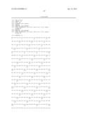 Endometrial Phase or Endometrial Cancer Biomarkers diagram and image