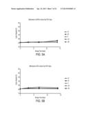 INHIBITOR LEACHING RESISTANT NUCLEIC ACID STORAGE REAGENT diagram and image