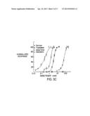 T1R Hetero-Oligomeric Taste Receptors and Cell Lines That Express Said     Receptors and Use Thereof for Identification of Taste Compounds diagram and image