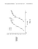 T1R Hetero-Oligomeric Taste Receptors and Cell Lines That Express Said     Receptors and Use Thereof for Identification of Taste Compounds diagram and image