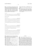 T1R Hetero-Oligomeric Taste Receptors and Cell Lines That Express Said     Receptors and Use Thereof for Identification of Taste Compounds diagram and image