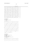 T1R Hetero-Oligomeric Taste Receptors and Cell Lines That Express Said     Receptors and Use Thereof for Identification of Taste Compounds diagram and image