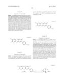 FLUORINATED RESORUFIN COMPOUNDS AND THEIR APPLICATION diagram and image