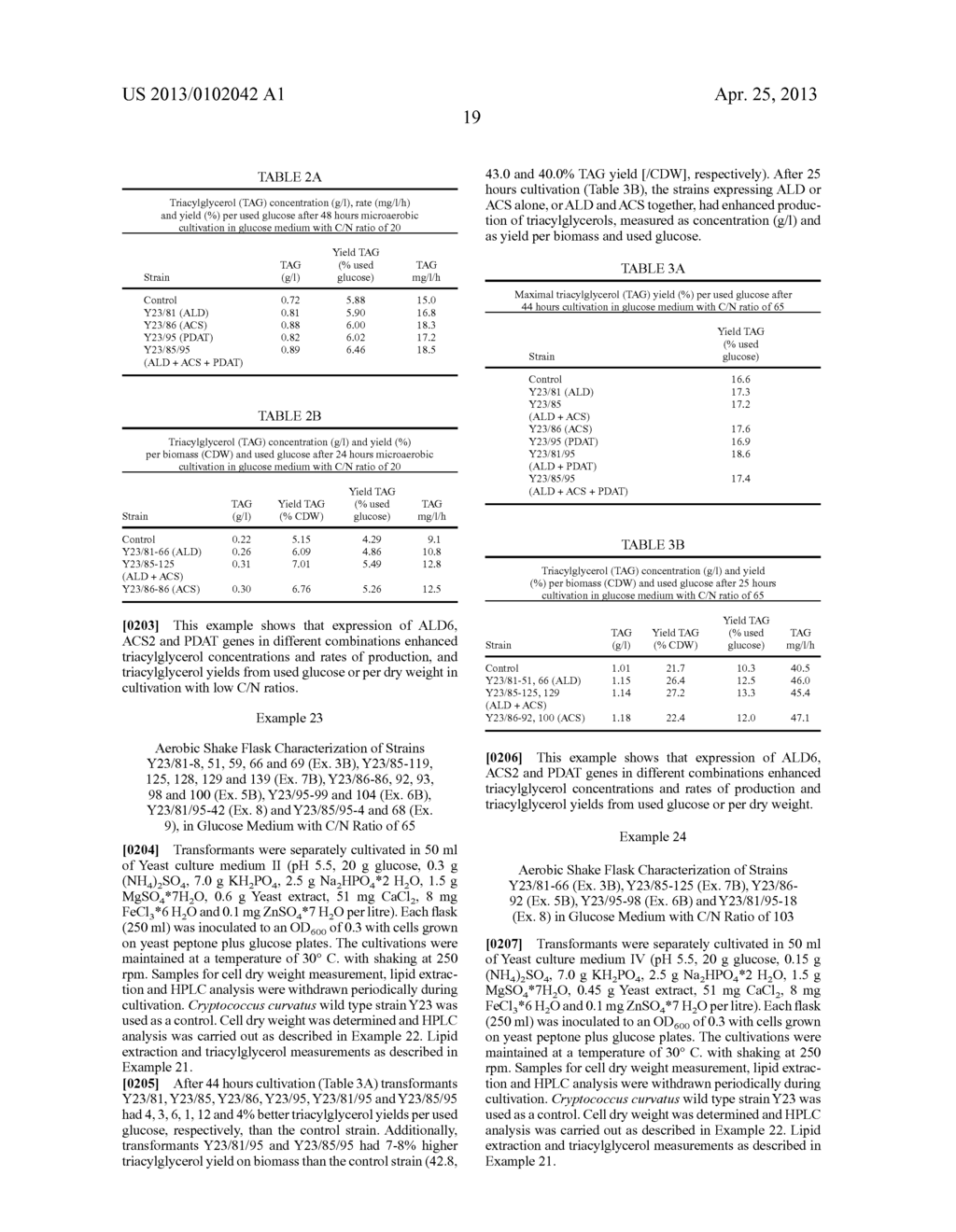 GENETICALLY MODIFIED FUNGI AND THEIR USE IN LIPID PRODUCTION - diagram, schematic, and image 32