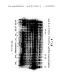 ENZYMATIC NUCLEIC ACID SYNTHESIS: COMPOSITIONS AND METHODS FOR INHIBITING     PYROPHOSPHOROLYSIS diagram and image