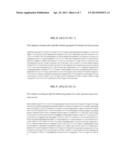 SUPPRESSION OF B-CELL APOPTOSIS IN TRANSGENIC ANIMALS EXPRESSING HUMANIZED     IMMUNOGLOBULIN diagram and image