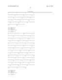 SUPPRESSION OF B-CELL APOPTOSIS IN TRANSGENIC ANIMALS EXPRESSING HUMANIZED     IMMUNOGLOBULIN diagram and image