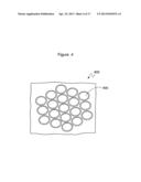 Systems and methods for growing photosynthetic organisms diagram and image