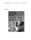 Titanate and titania nanostructures and nanostructure assemblies, and     methods of making same diagram and image