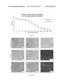 NOVEL ANTIBODY FOR THE DIAGNOSIS AND/OR PROGNOSIS OF CANCER diagram and image
