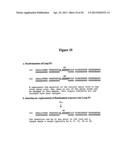 ALBUMIN FUSION PROTEINS diagram and image