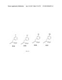 INHIBITORS OF PROTEIN PRENYLTRANSFERASES diagram and image