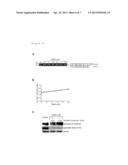 Prophylactic or Ameliorating Agent for Genetic Diseases diagram and image