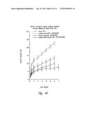 ANTI-ANGIOGENIC COMPOSITIONS AND METHODS OF USE diagram and image