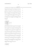 ANTI-PSGL-1 ANTIBODIES diagram and image