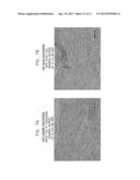 REFLECTANCE-FACILITATED ULTRASOUND TREATMENT AND MONITORING diagram and image