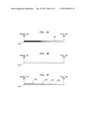 ELONGATE IMPLANTABLE CARRIER MEMBER HAVING AN EMBEDDED STIFFENER diagram and image