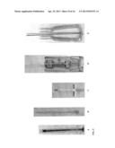 DERMAL MICRO-ORGANS, METHODS AND APPARATUSES FOR PRODUCING AND USING THE     SAME diagram and image